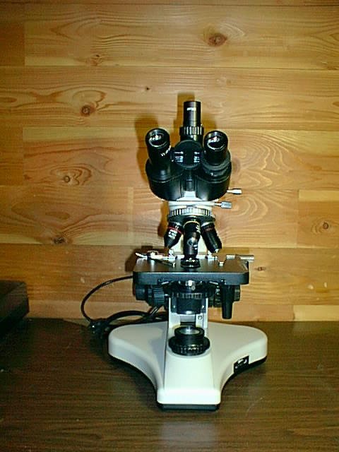 largescopefront